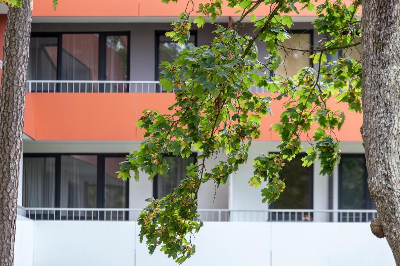 Violetos Lux Apartamentai2 Друскининкай Экстерьер фото